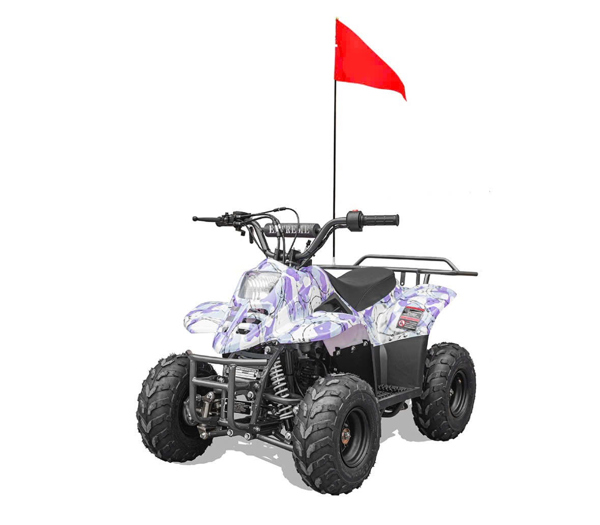 Recalled Rex110 ATV - Purple Camo