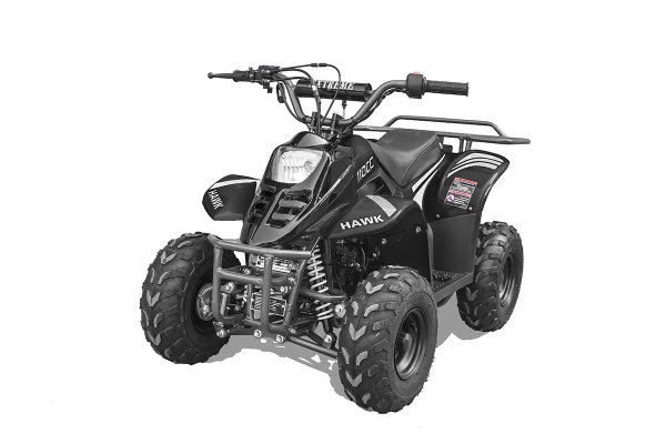 Recalled Rex110 ATV - Black