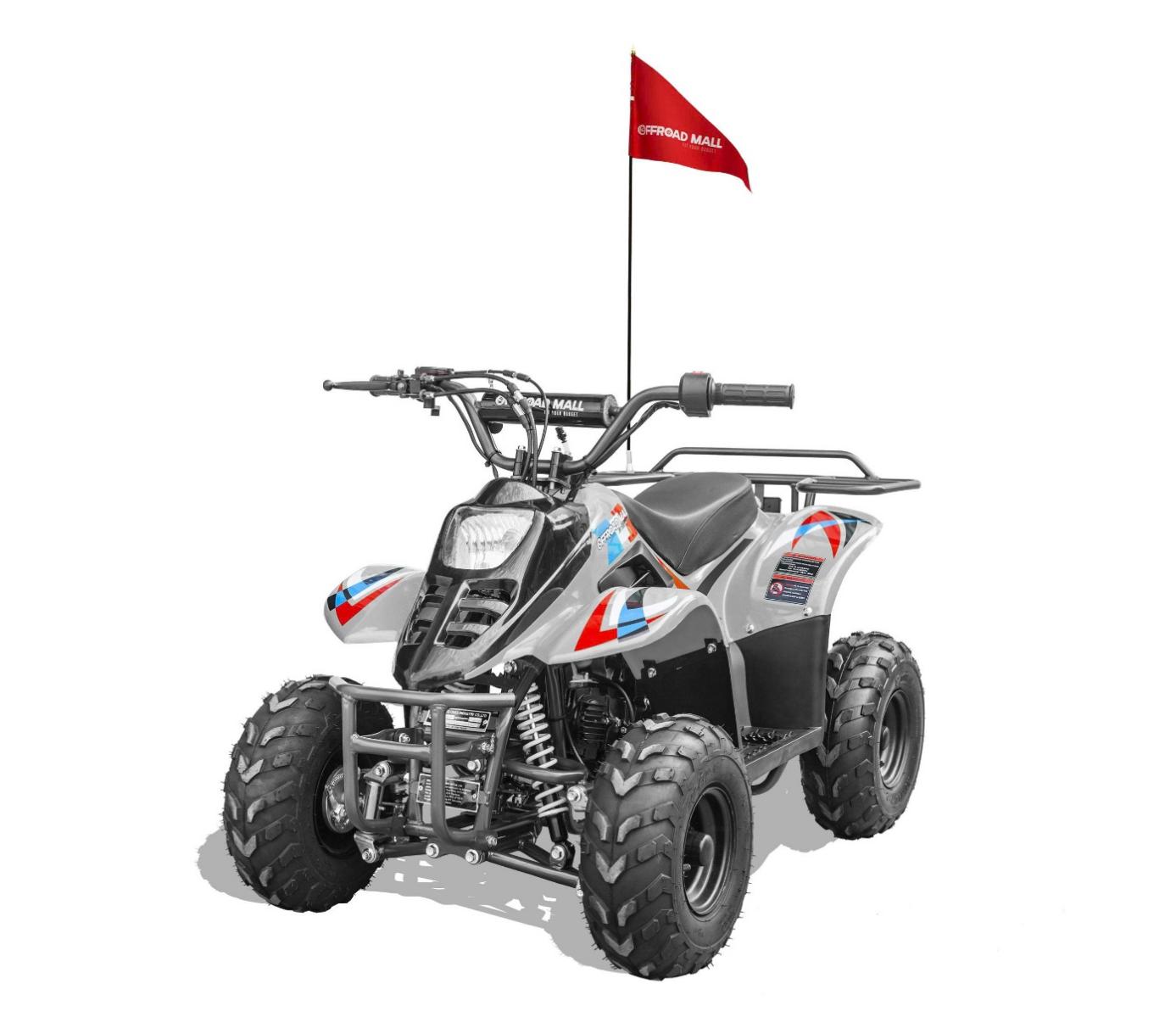 Recalled Rex110 ATV - Silver