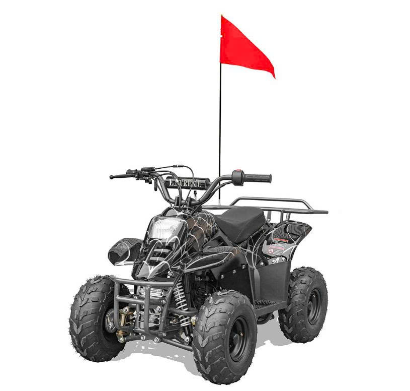 Recalled Rex110 ATV - Spider Black